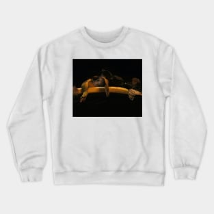 Banana, Thistle & Feathers - Baroque Inspired Dark Still Life Photo Crewneck Sweatshirt